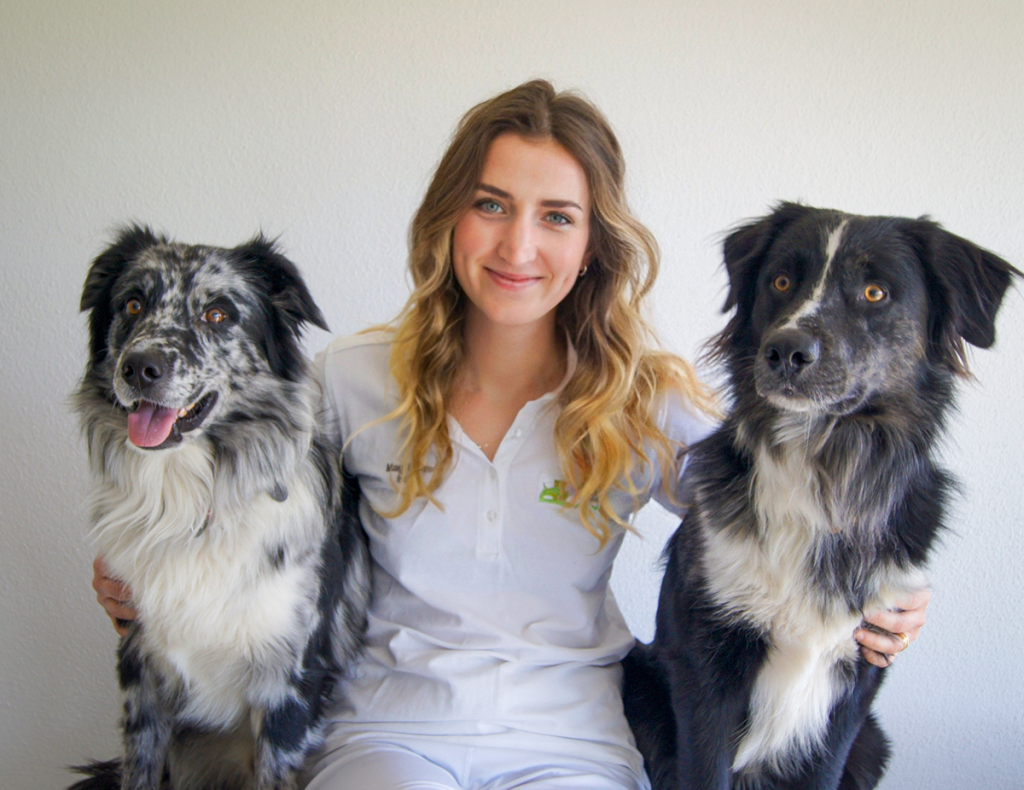 Tierarztpraxis Heidingsfeld Dennis Hahn Vormals Tierklinik Dr Schneidemann Unser Team für Ihre Liebsten